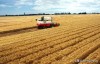 美国一亩地小麦有多少产量？